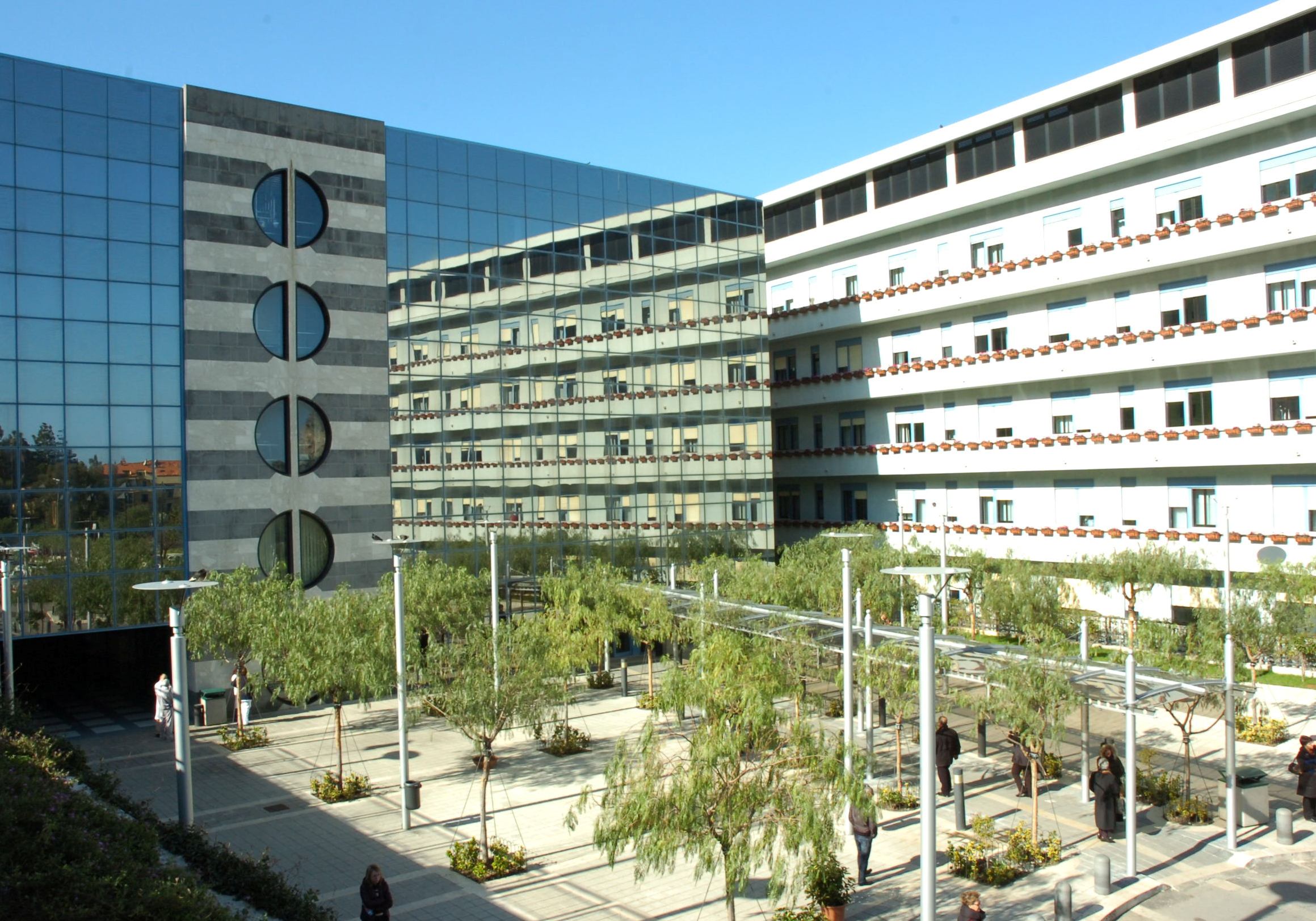 cefal-ospedale-alberi.jpg